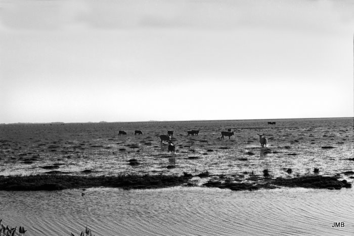 AÑO 1975 - BLANCO Y NEGRO - VIDA CAMPESINA EN PARAGUAY (JOSÉ MARÍA BLANCH)